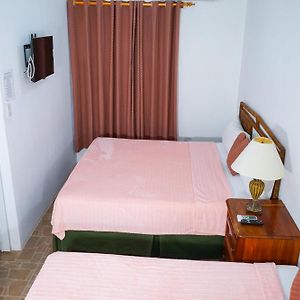 King Room Garden View